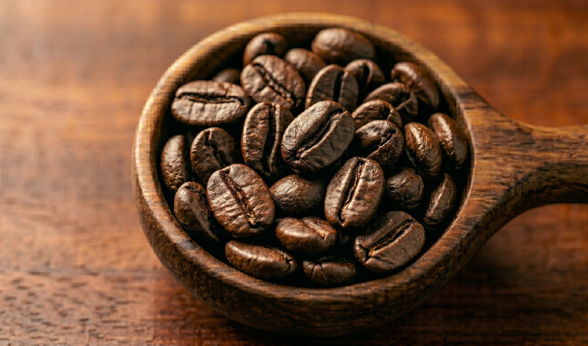 Close‑up of Kenya Kafe Cup dark‑roasted coffee beans in a wooden scoop on a warm wooden surface. Deep brown color and glossy texture highlighting bold roast intensity and rich espresso character.